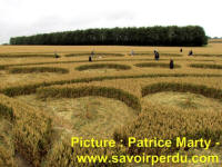 Avebury Stone Circle, Wiltshire crop circle, aerial photo 59